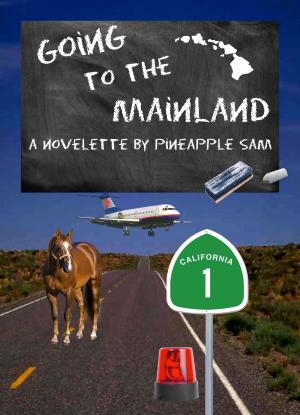 Book cover of Going to the Mainland
