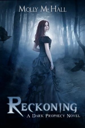 Cover of the book Reckoning by Doug Turnbull