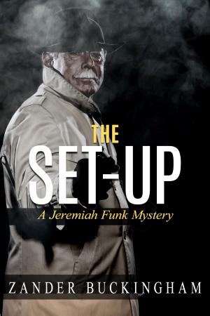 Cover of the book The Set Up by Kelly Washington