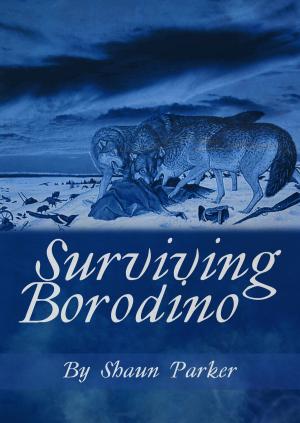 bigCover of the book Surviving Borodino by 
