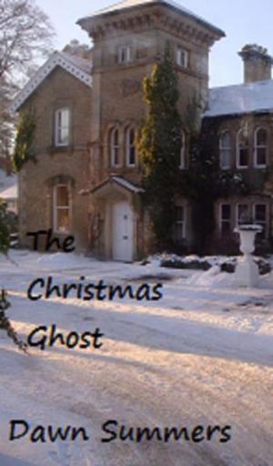 bigCover of the book The Christmas Ghost by 