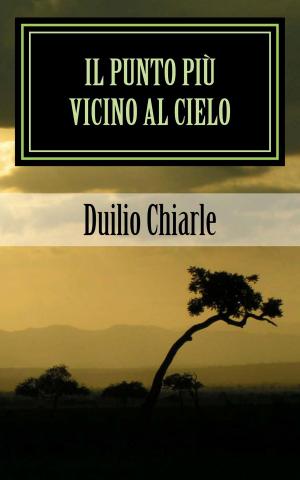 Book cover of Il Punto più Vicino al Cielo