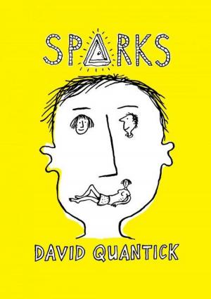 Cover of the book Sparks by Lee Brit