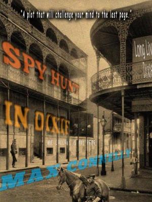 Cover of the book Spy Hunt in Dixie: Civil War Historical Fiction by Max D