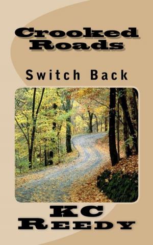 Cover of the book Crooked Roads Switch Back by Tom Bierdz