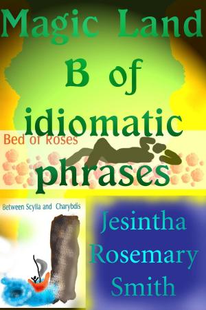 Book cover of Magic Land B of idiomatic phrases