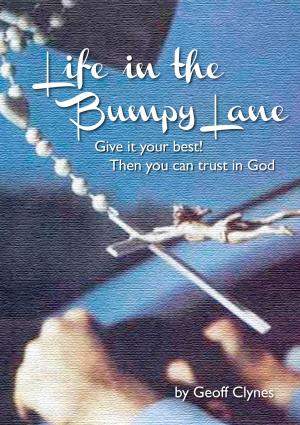 Book cover of Life in the Bumpy Lane