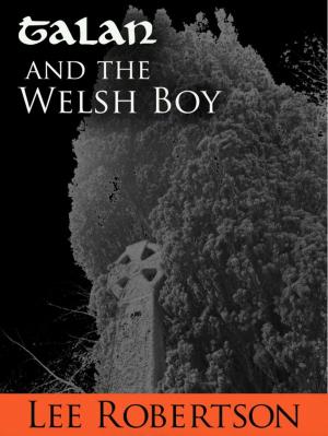 Cover of the book Talan and the Welsh Boy by Stewart Blair