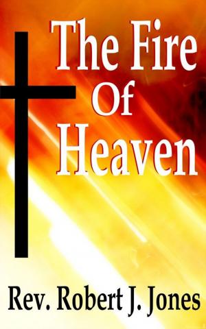 Cover of the book The Fire of Heaven by Stan Toler, Larry Gilbert