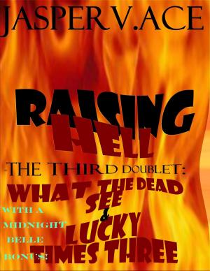 Cover of the book Raising Hell: The 3rd Doublet: What the Dead See & Lucky Times Three by David Bruns, J.R. Olson