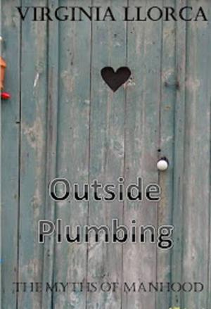 bigCover of the book The Myths of Manhood: Outside Plumbing by 