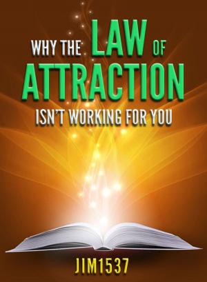 Cover of the book Why the Law of Attraction Isn't Working for You by Sasha Sekuloski