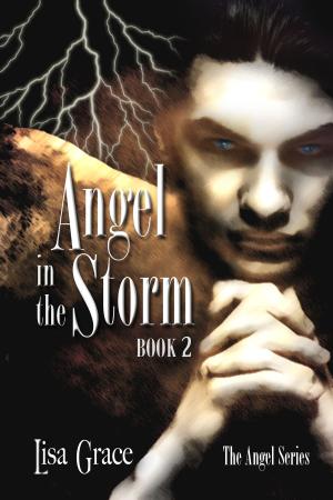 Cover of Angel in the Storm, Book 2 by Lisa Grace (Angel Series)