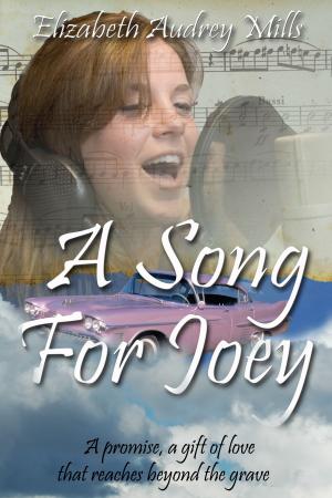 Book cover of A Song For Joey