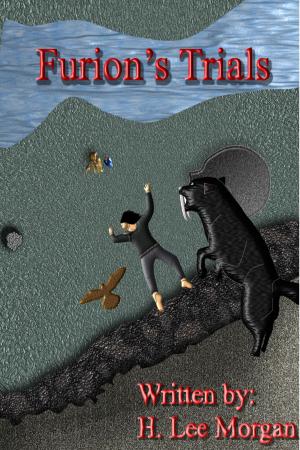 Cover of Furion's Trials (Book Two of the Items Trilogy)