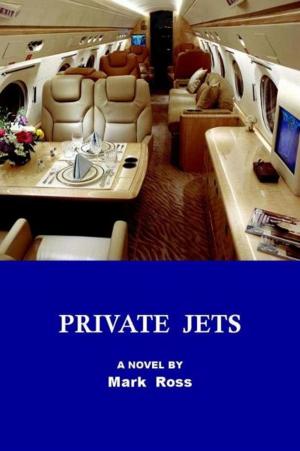 Cover of the book Private Jets by Bre Simone