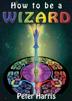 Cover of the book How to be a Wizard: How life is magical, and we are too by George Anderson