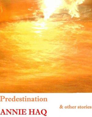 Cover of the book Predestination And Other Stories by Monica J. O'Rourke