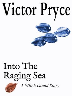 Book cover of Into The Raging Sea