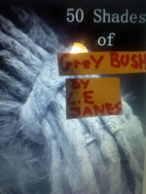 Cover of the book Fifty Shades of Grey Bush by Apollos Rivoire Jr
