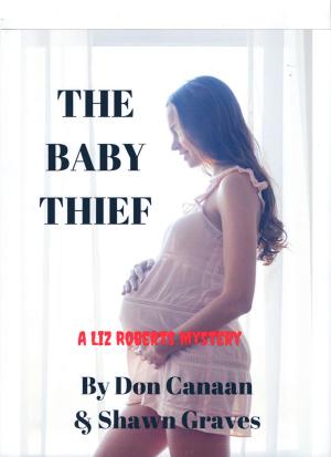 Book cover of The Baby Thief (A Liz Roberts Mystery)