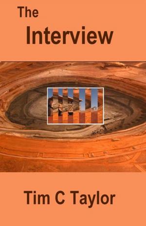Book cover of The Interview