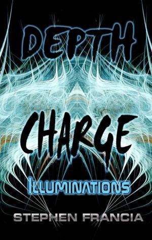 Cover of the book Depth Charge: illuminations by Brandon Scott Fox