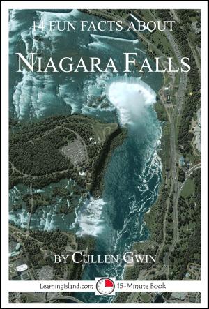 Book cover of 14 Fun Facts About Niagara Falls: A 15-Minute Book