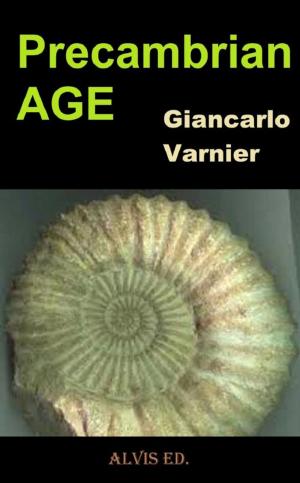 Book cover of Precambrian Age