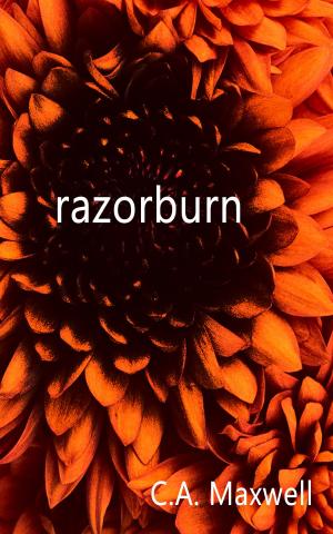Cover of the book Razorburn by Christopher Jon