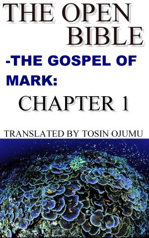 Book cover of The Open Bible: The Gospel of Mark: Chapter 1