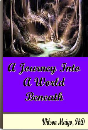Cover of the book A Journey Into A World Beneath by Will Anthony Jr