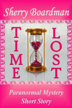 Cover of the book Time Lost by Edith Maxwell