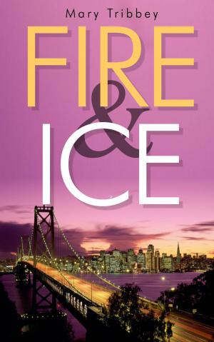 Cover of the book Fire and Ice by S.L. Dearing
