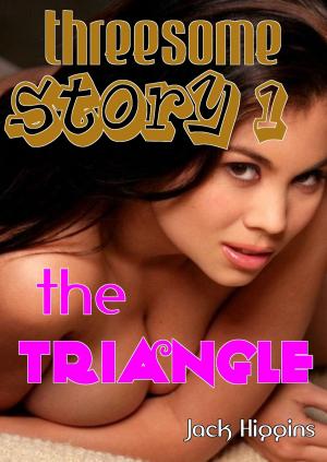 Cover of the book Threesome Story #1: The Triangle by Monique LaGarra