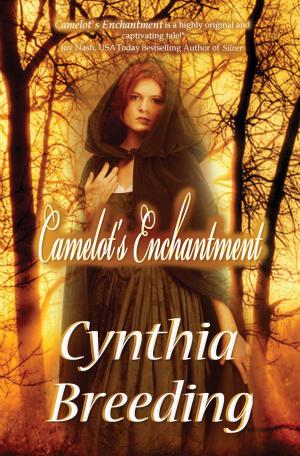 Cover of the book Camelot's Enchantment by S. M. Revolinski