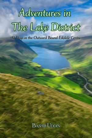 Cover of the book Adventures in The Lake Disctrict by Michael Allen Potter