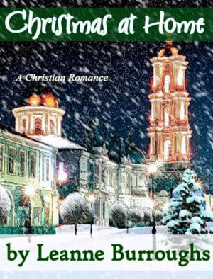 Book cover of Christmas At Home