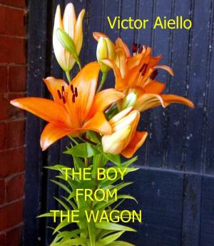 Cover of the book The Boy From The Wagon by Tina Caramanico