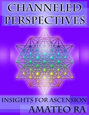 Cover of the book Channeled Perspectives by Puneet Mathur