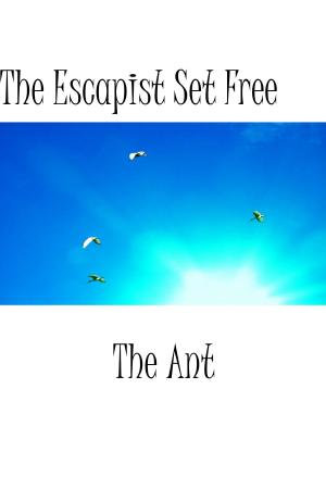 Cover of the book The Escapist Set Free by Terry W. Gintz