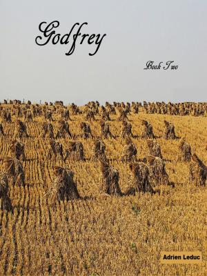 Cover of the book Godfrey: Book Two by Mark Stone