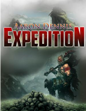bigCover of the book Expedition by 