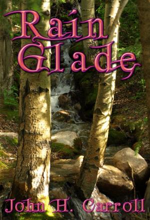 Book cover of Rain Glade
