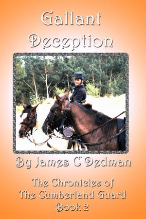 Book cover of Gallant Deception