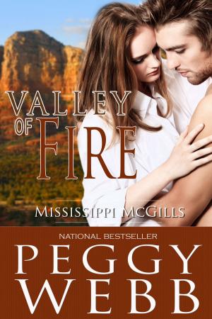 Cover of the book Valley of Fire by Janet Doolaege