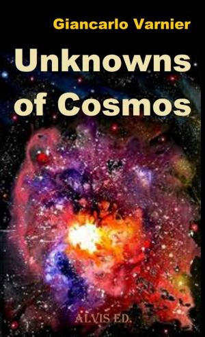Cover of the book Unknowns of Cosmos by Cinzia Galli