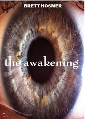 Cover of the book The Awakening by Susan Egner