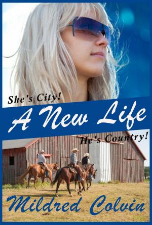 Cover of the book A New Life by Lily Silver