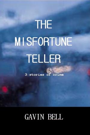 bigCover of the book The Misfortune Teller: Three Stories of Crime by 